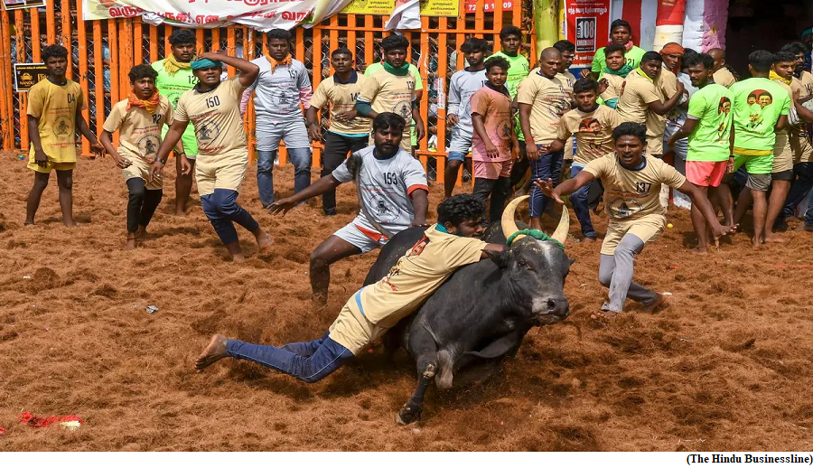 Tamil Nadu amended law on jallikattu valid, SC (GS Paper 2, Judiciary)