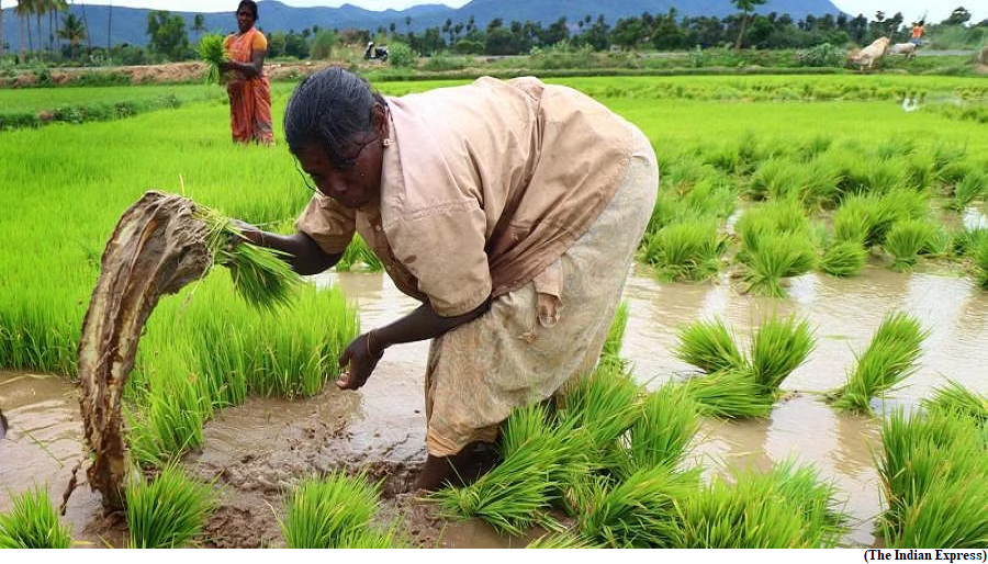 Climate change and women in agriculture, Navigating challenges and fostering resilience (GS Paper 3, Environment)