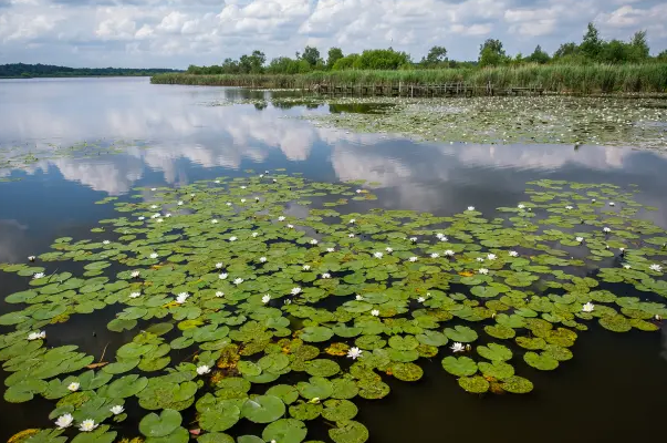 UNESCO Designates 11 New Biosphere Reserves (GS Paper 3, Environment)