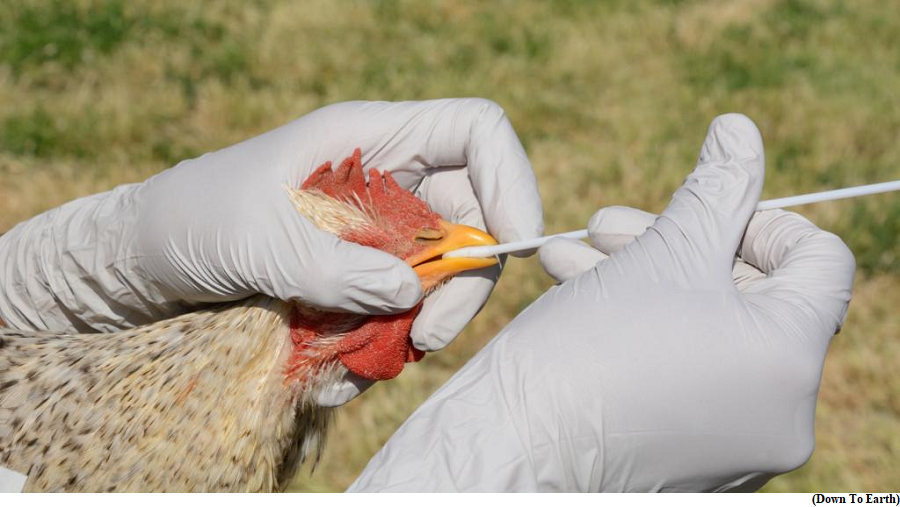 Surging bird flu cases may increase human infection risk, warn UN agencies & WOAH (GS Paper 2, Health)