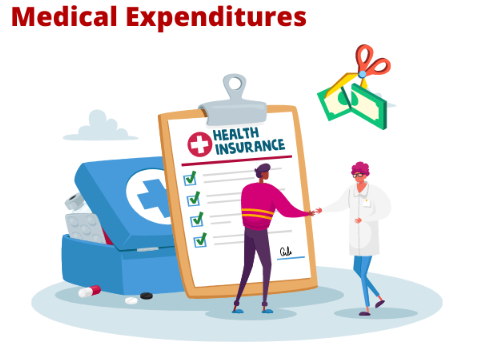 Well-Being and Medical Expenditure (GS Paper 3, Economy)