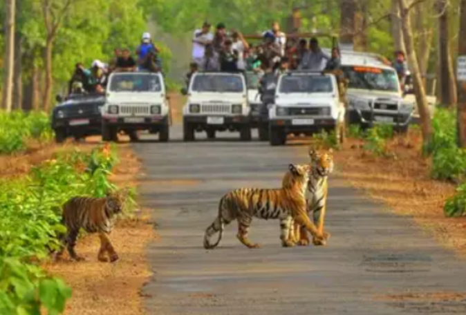 Sariska Tiger Reserve: Supreme Court Halts Mining Operations (GS Paper 2, Governance)