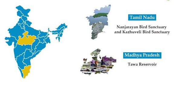 India Expands Conservation Efforts: 3 New Ramsar Sites Designated (GS Paper 3, Environment)